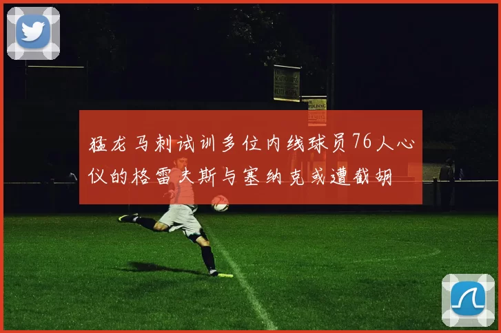 猛龙马刺试训多位内线球员76人心仪的格雷夫斯与塞纳克或遭截胡