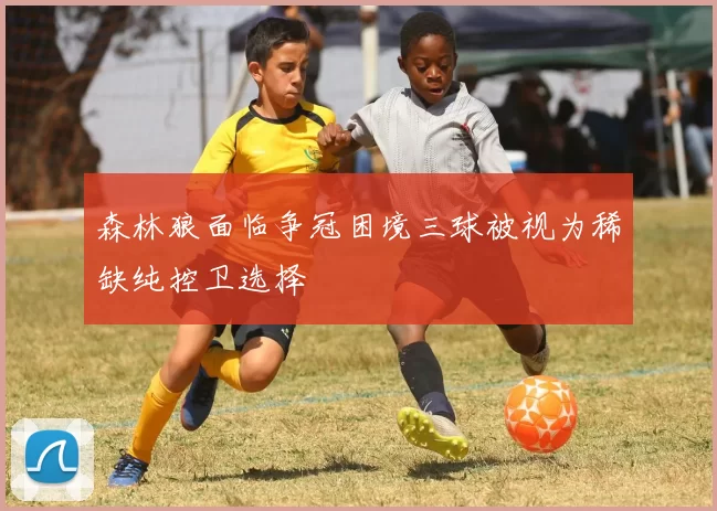 森林狼面临争冠困境三球被视为稀缺纯控卫选择