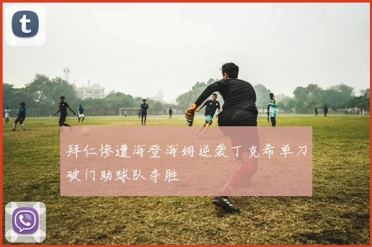 拜仁惨遭海登海姆逆袭丁克希单刀破门助球队夺胜